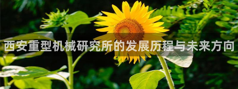 富联2娱乐