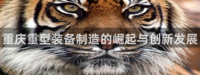 富联娱乐招商电话是多少