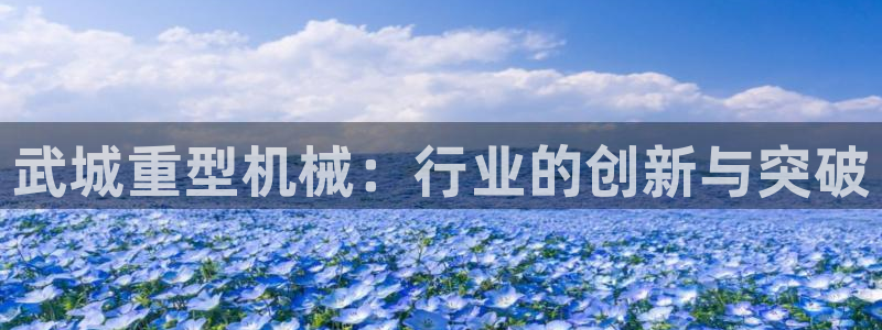富联娱乐版权所有权归属