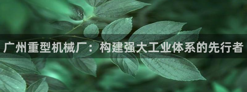 天富娱乐联772332