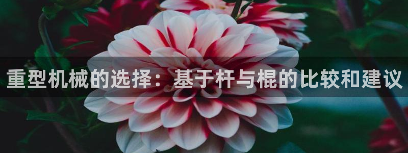 富联娱乐主管是谁呀图片