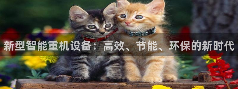 佰富联娱乐团购