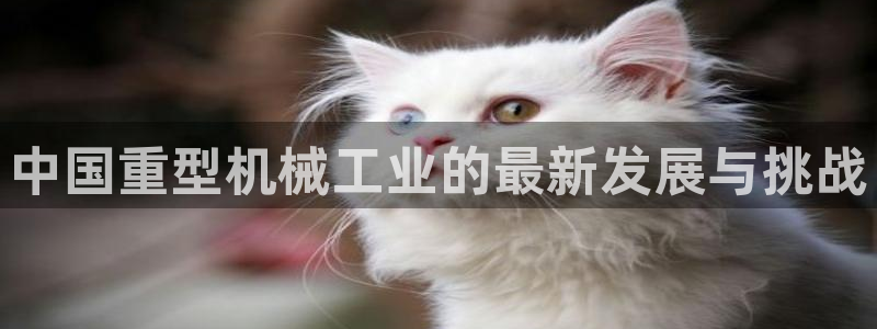 富联娱乐app更新不了