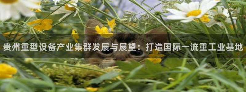 嘉峪关富联娱乐平台