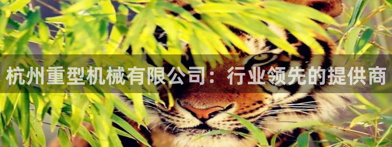 富联娱乐勺67五壹叁八