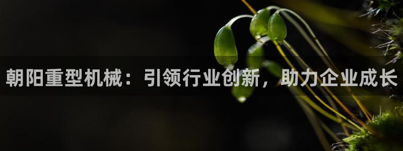 富联娱乐公司简介资料