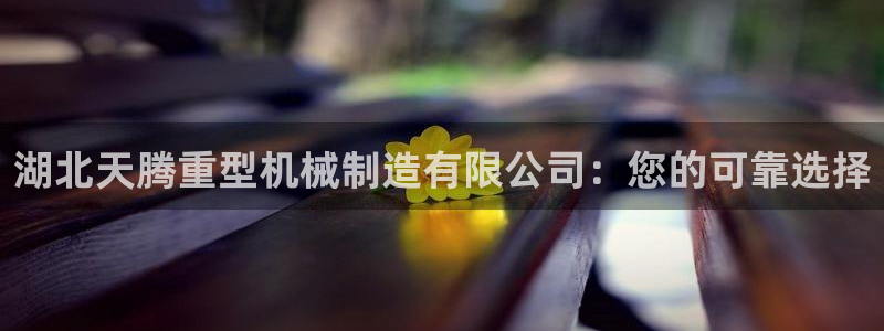 富联娱乐招商主管是谁