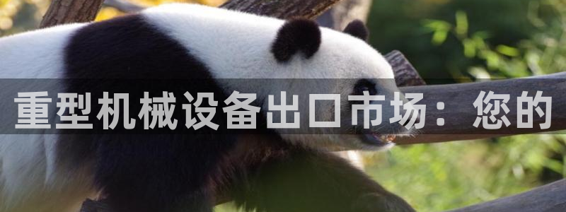 富联娱乐主管在什么职位