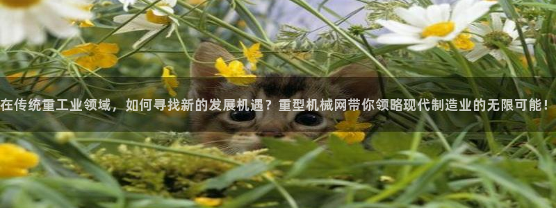 富联娱乐2853179Z空间